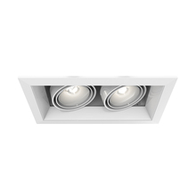 Eurofase TE162-22 - MULT,PAR20,TRM,2LT,50W,WH/WHT